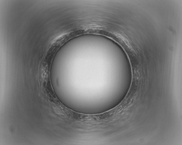 X0000116291063200911301414