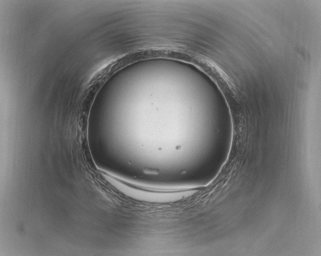 X0000116291064200911301414