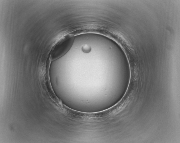 X0000116291065200911301414