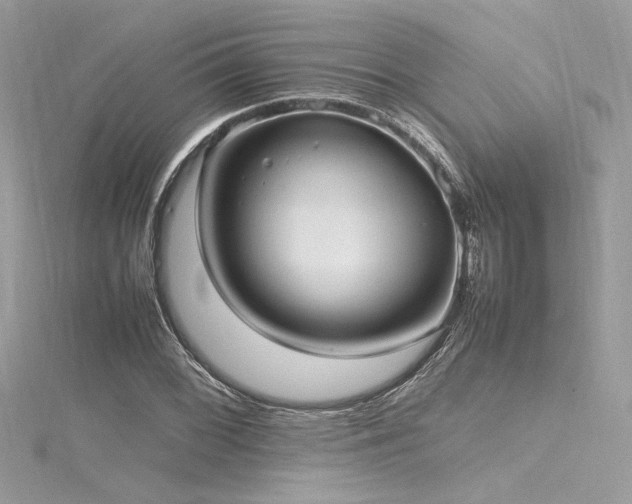 X0000116291068200911301414