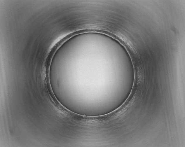 X0000116291070200911301414