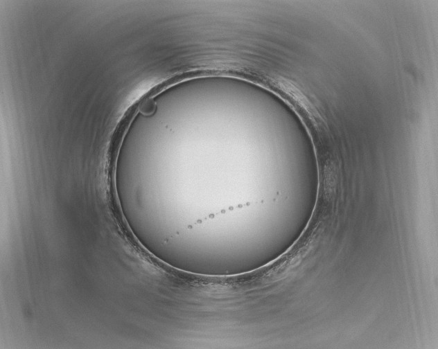 X0000116291071200911301414