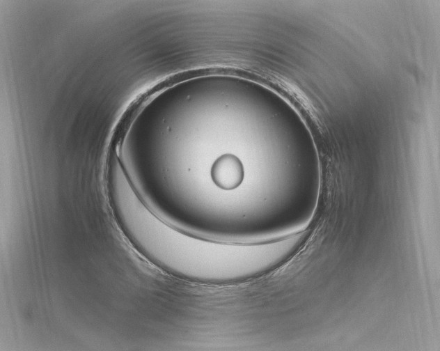 X0000116291072200911301414