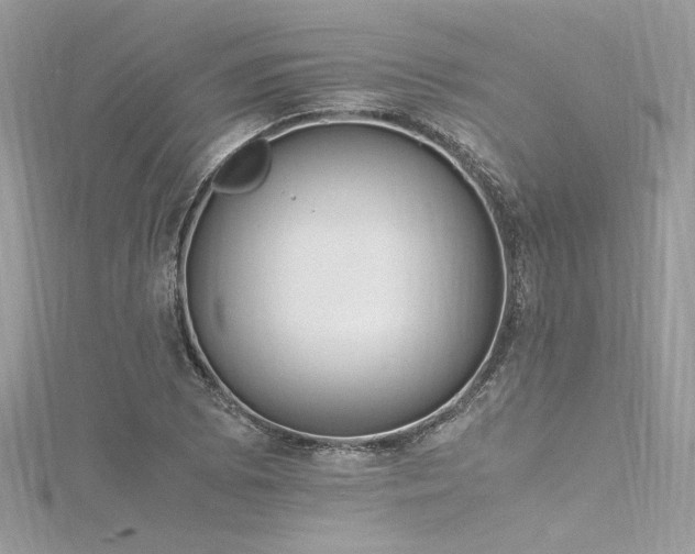 X0000116291073200911301414