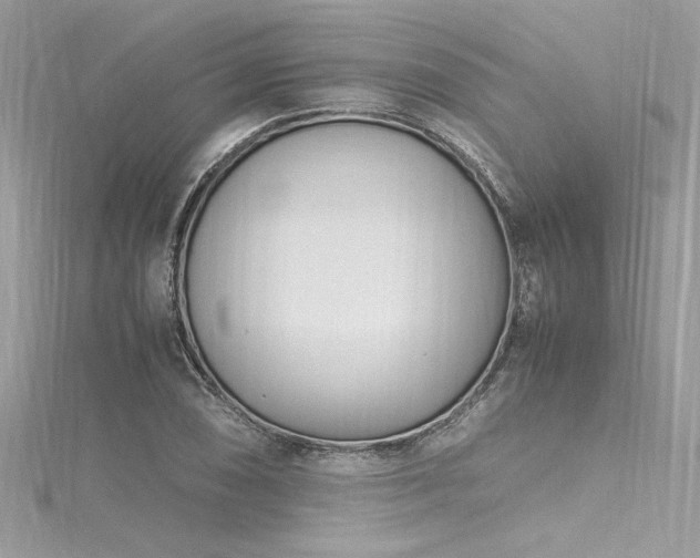 X0000116291074200911301414