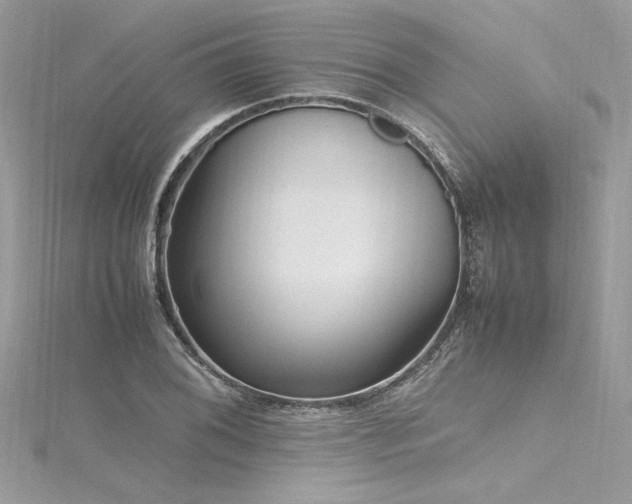 X0000116291076200911301414