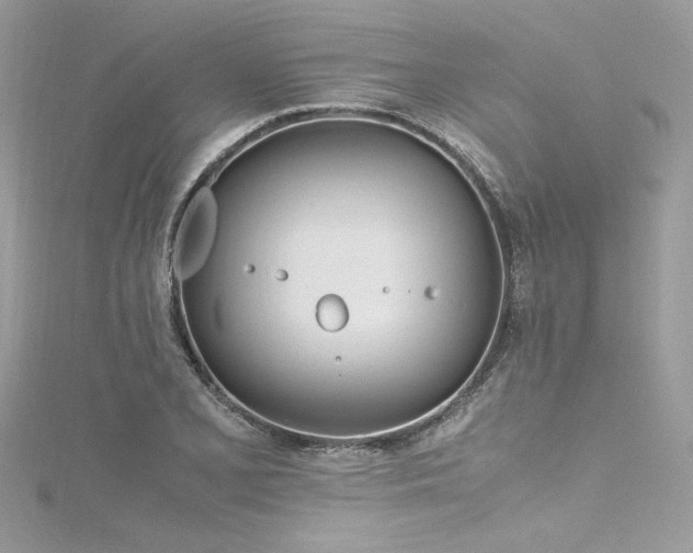 X0000116291077200911301414