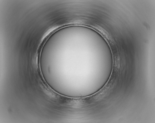 X0000116291078200911301414