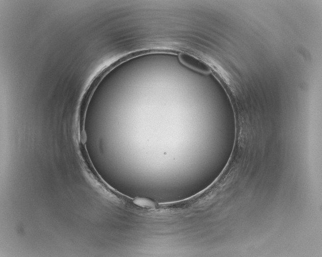 X0000116291080200911301414