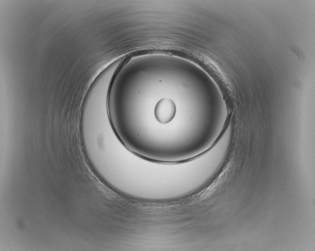 X0000116291081200911301414