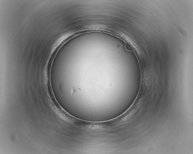 X0000116291082200911301414