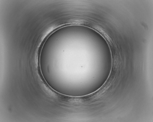 X0000116291083200911301414