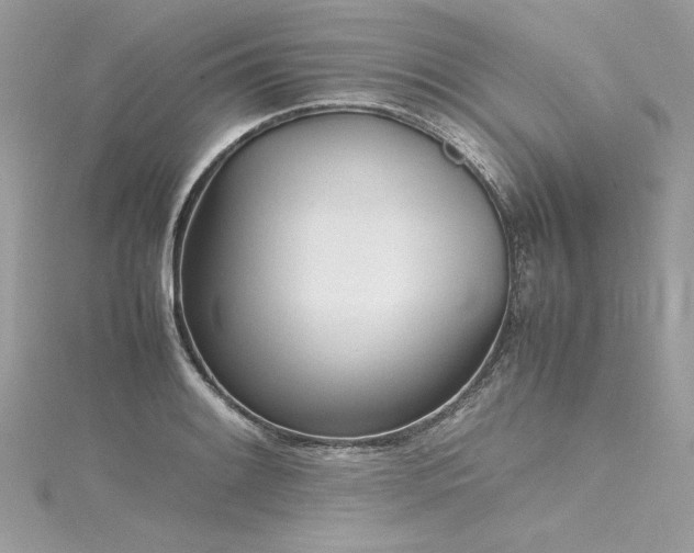 X0000116291084200911301414