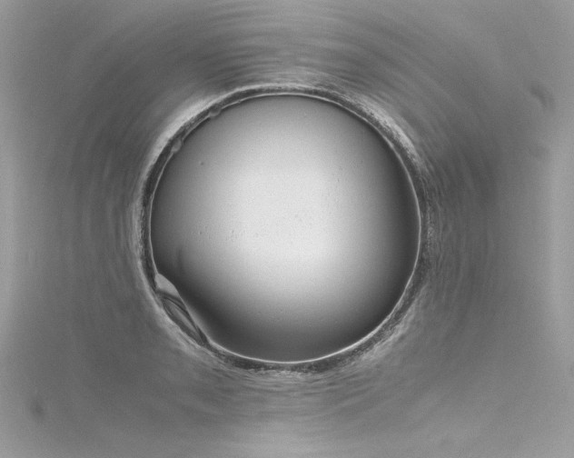 X0000116291085200911301414