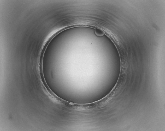 X0000116291086200911301414