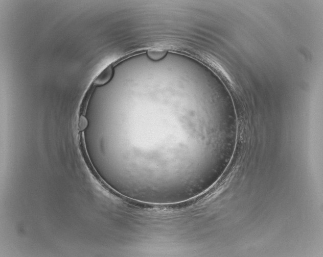 X0000116291087200911301414