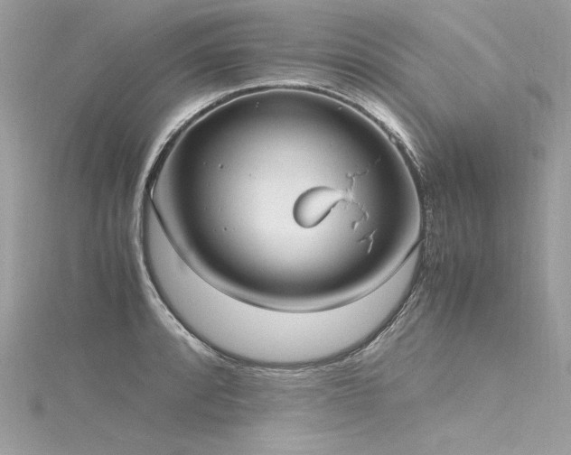 X0000116291088200911301414