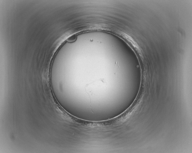 X0000116291089200911301414