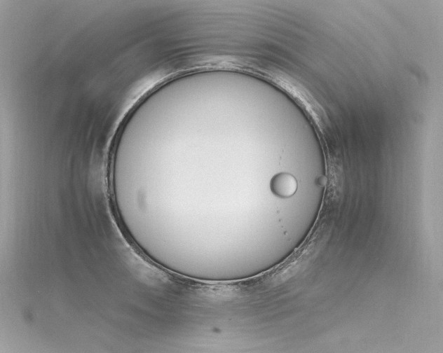 X0000116291090200911301414