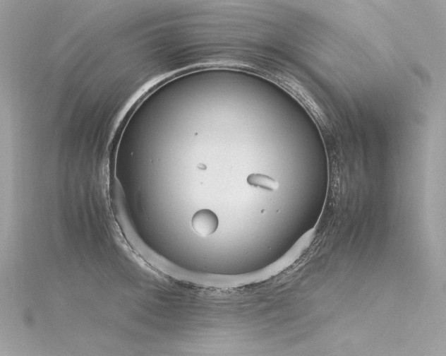 X0000116291092200911301414