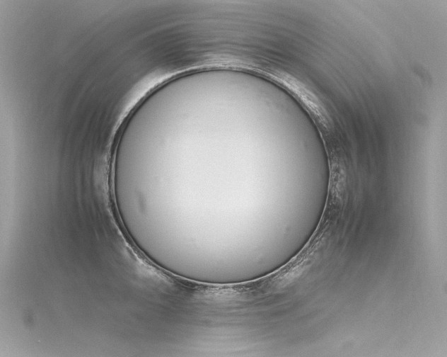 X0000116291094200911301414