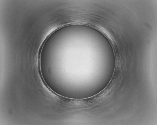 X0000116291095200911301414