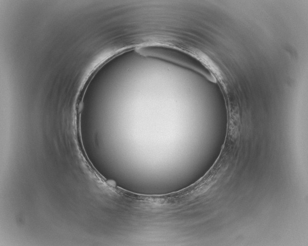 X0000116291096200911301414