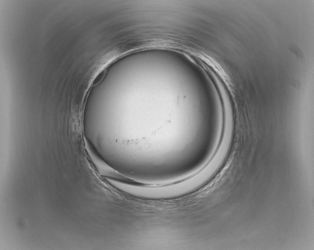 X0000116291097200911301414