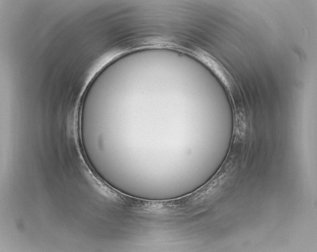 X0000116291098200911301414