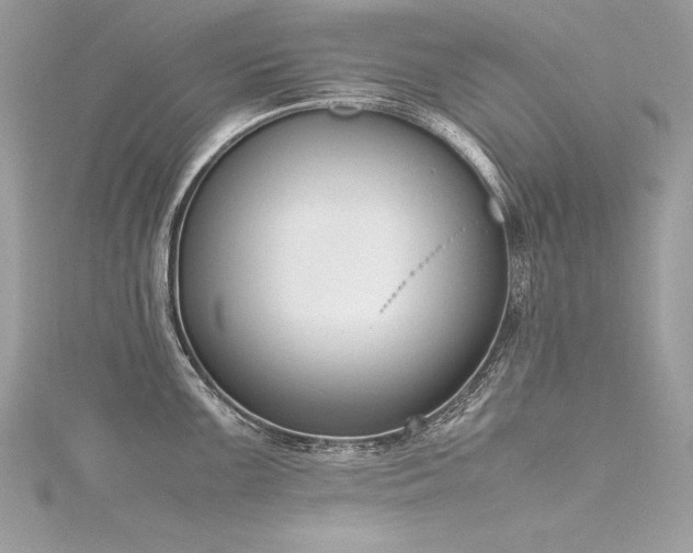 X0000116291099200911301414