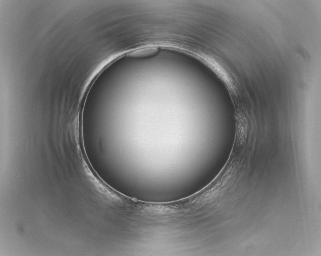 X0000116291100200911301414