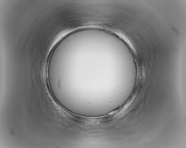 X0000116291101200911301413