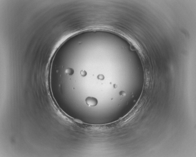 X0000116291102200911301413