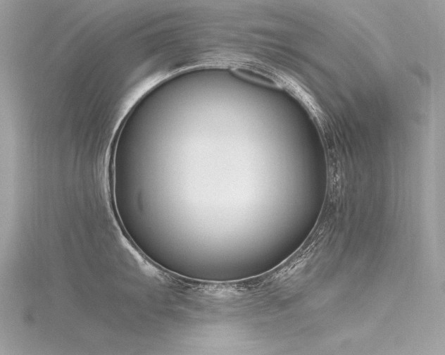 X0000116291103200911301413