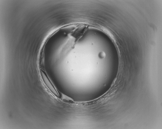 X0000116291104200911301413