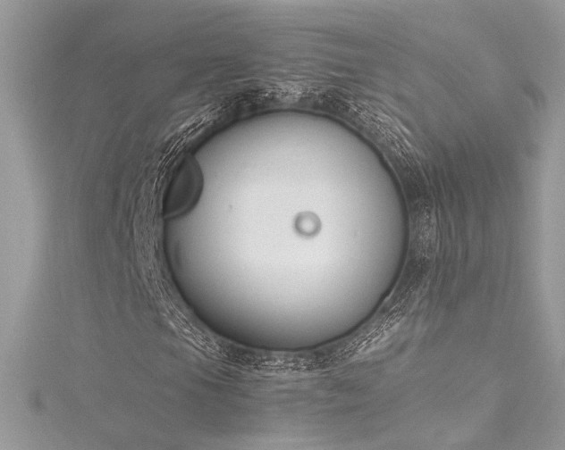 X0000116291105200911301413