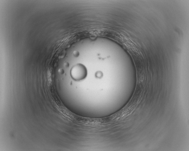 X0000116291106200911301413