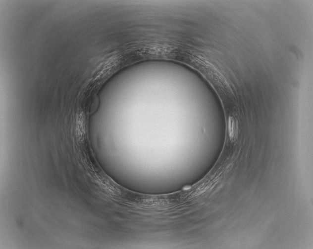 X0000116291107200911301413