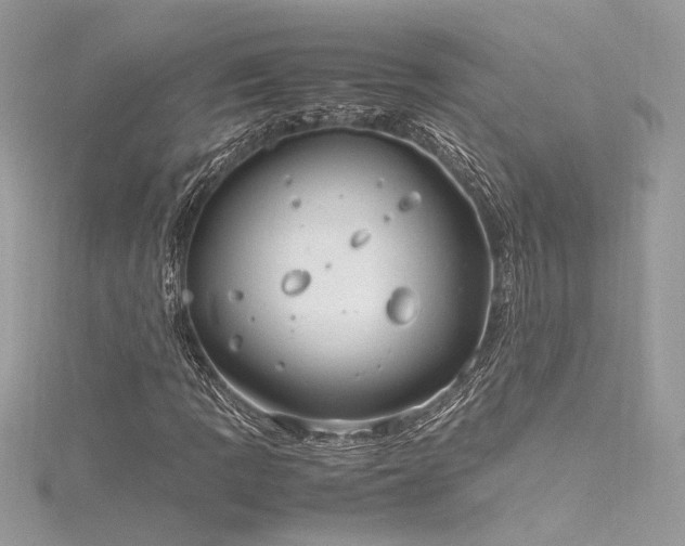 X0000116291109200911301413