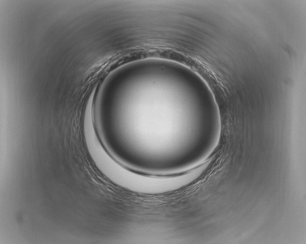 X0000116291110200911301413