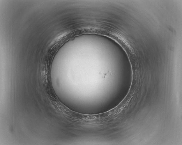 X0000116291111200911301413