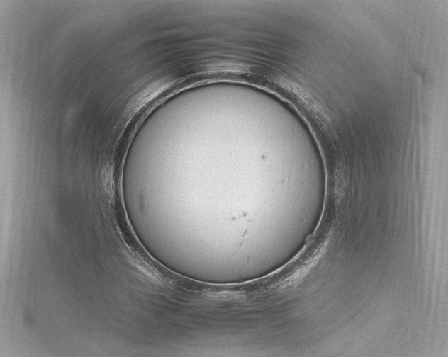 X0000116291113200911301413