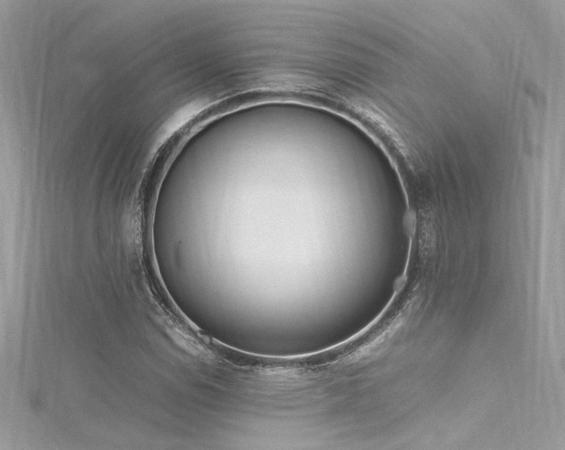 X0000116291114200911301413