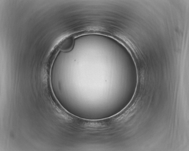 X0000116291115200911301413