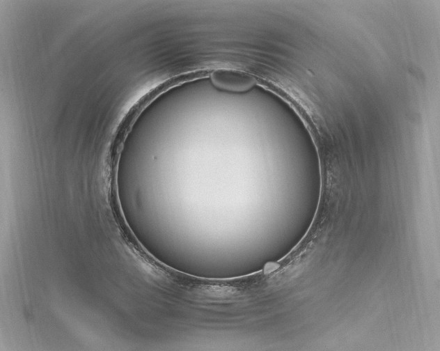 X0000116291119200911301413