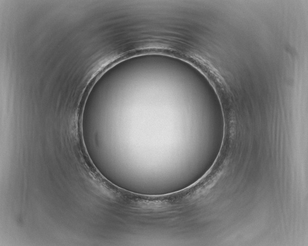 X0000116291121200911301413