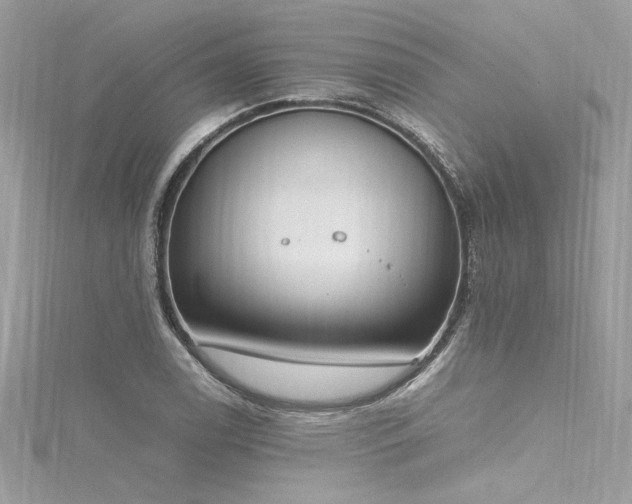 X0000116291122200911301413