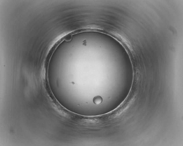 X0000116291125200911301413