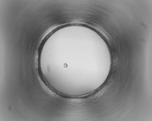 X0000116291126200911301413