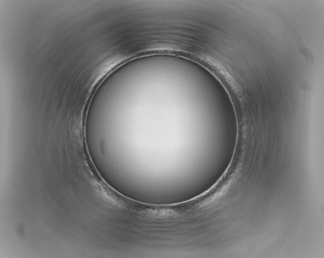 X0000116291129200911301413